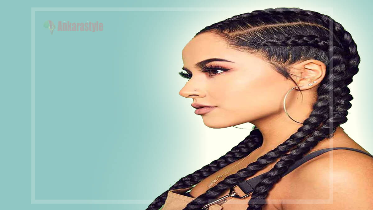 Two Braids Hairstyles Ponytails 2024